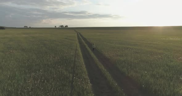 Sporty Child Runs Through a Green Wheat Field