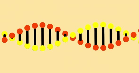 Animation of a digital 3d red, yellow and black double helix DNA