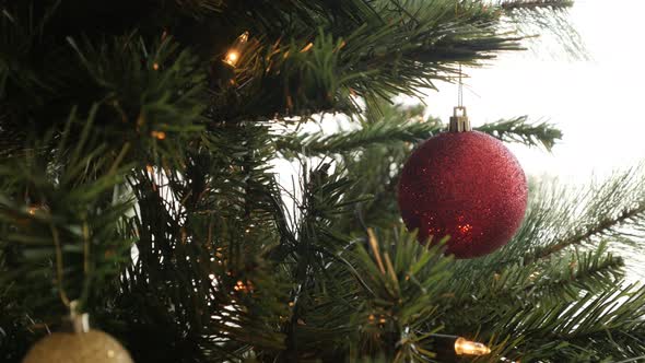 Close-up of decorative  bauble on the branch  4K 2160p 30fps UltraHD footage - Shiny red ornament ha