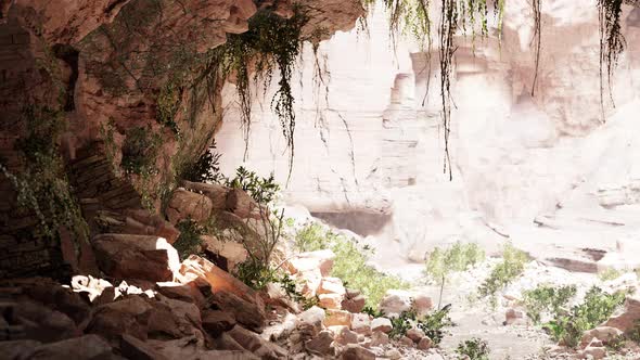 Inside a Limestone Cave with Plants and Sun Shine