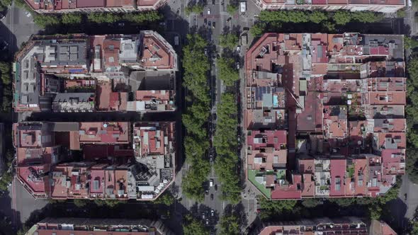 Barcelona Rooftops and City Views From Bird's Eye