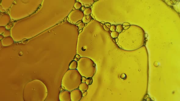 Colorful Artistic of Oil Drop Floating on the Water alt