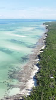 Tanzania  Vertical Video of the Ocean Near the Coast of Zanzibar Slow Motion