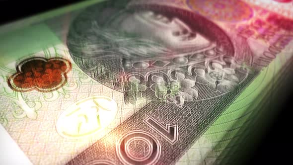 Polish Zloty money counting seamless loop