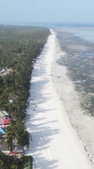 Tanzania  Vertical Video of Low Tide in the Ocean Near the Coast of Zanzibar Slow Motion