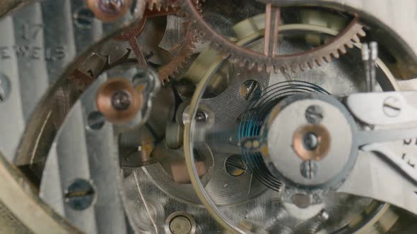 Moving Gold Gears Inside Working Pocket Watch Mechanism