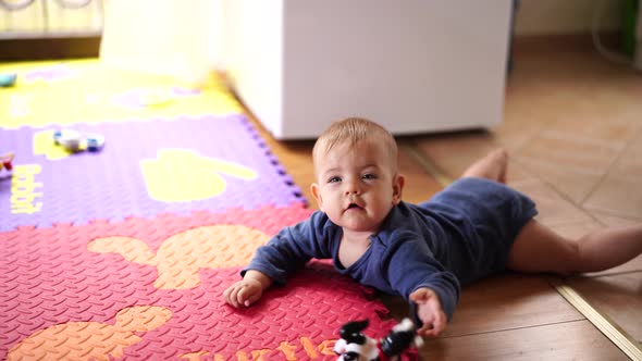 Kid Lies on the Floor Near a Colored Rug and Gnaws a Rubber Horse