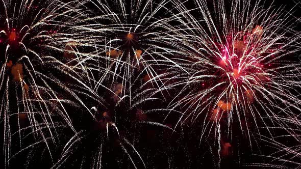 Colorful Fireworks Exploding in the Night Sky