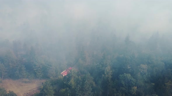 Fire in the forest aerial view. Cinematic aerial shot fire in the forest.