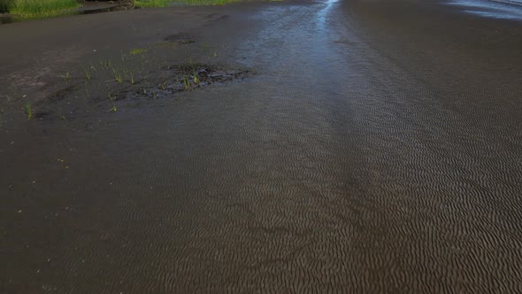 Aerial shot of sand banks, trees and reeds by shore of Rio de la Plata