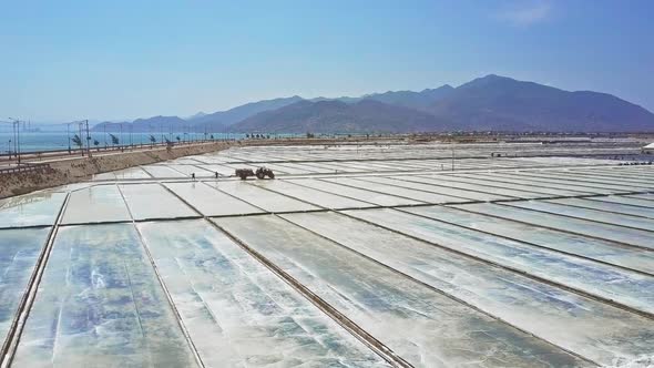 People Collect Salt on Huge Plantations To Export