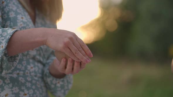 Women's Hands are Closeup Molded From Clay in Nature Outdoors in the Park in the Evening at Sunset