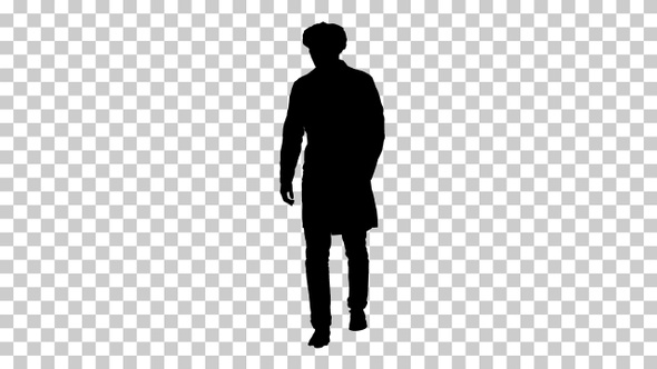 Silhouette  Doctor walking , Alpha Channel alt