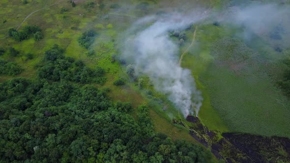 Slightly Approaching Shot of Drone From Above a Forest Fire in a Green Field. Grass and Trees Burn