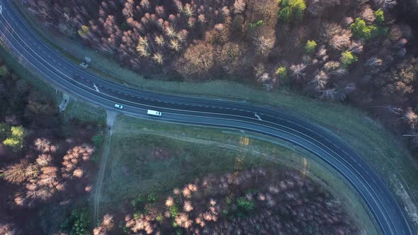 View From the Height of the Traffic on the Road Surrounded By Autumn Forest