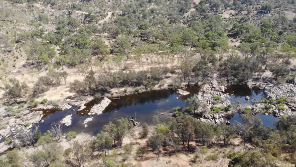 Aerial View of a Forest River