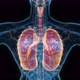Female lung 3d hologram - VideoHive Item for Sale