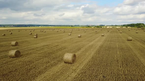 Field With Straw Bales