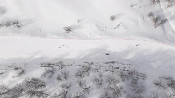 Aerial view of the ski resort with snowy mountain slopes and winter trees. 