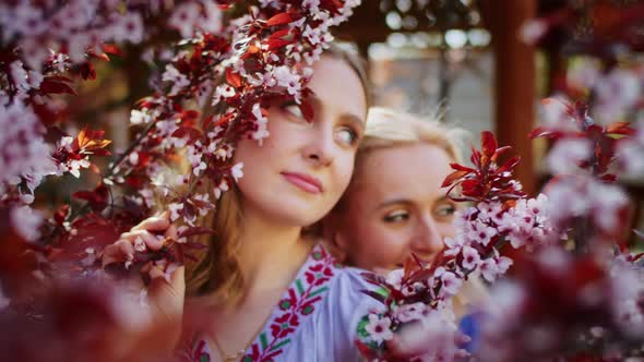 Two Happy Woman Have Fun on the Background of Blooming Pink Sakura Flowers