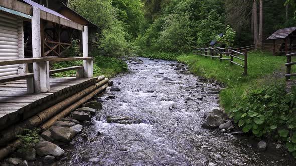 Mountain River Flowing Over the Rocks Between the Trees in Dense Forest