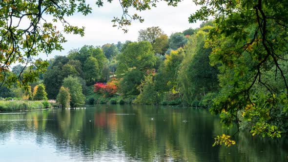 Rowe's Flashe Lake at Winkworth Arboretum, in Surrey, England, UK.