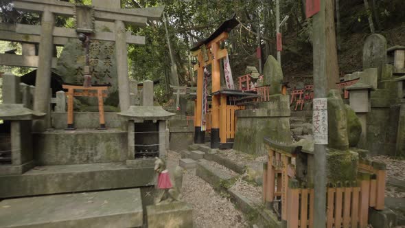 Torri gate of shrines