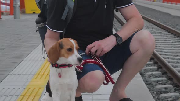 Traveller is Waiting at the Railway Station