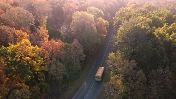 Road with school bus in beautiful autumn forest at sunset