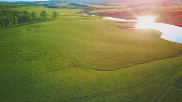 Aerial Video Flying Over Green Grass Field During Sunset in Spring Time