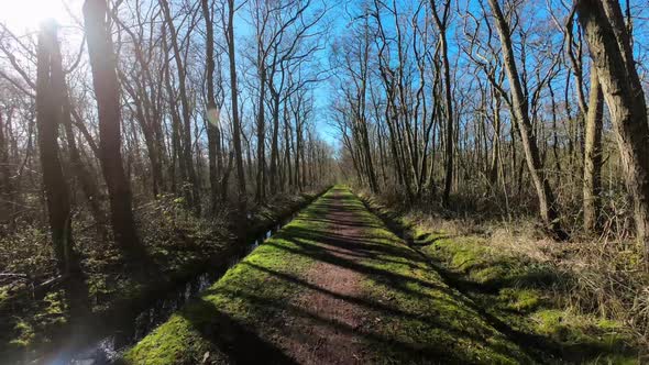 Fast motion narrow path through the forest