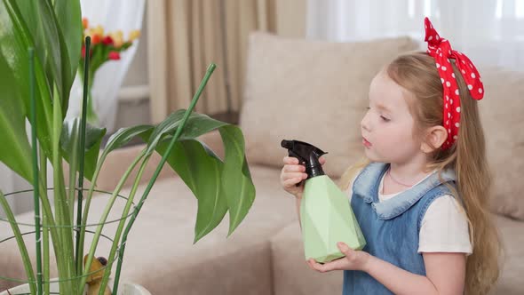 a Little Cute Girl Sprays the Houseplant with Water