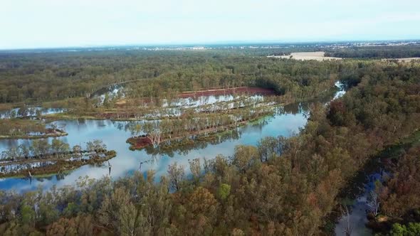 Aerial view of the swollen Murray River and forests just upstream of Lake Mulwala, Australia. Novemb