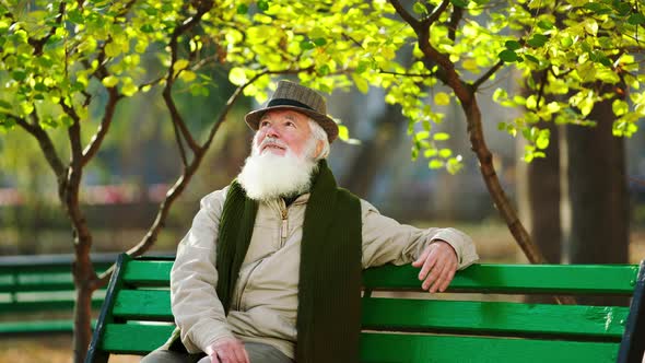 Attractive Old Man Have a Walk in the Park Alone