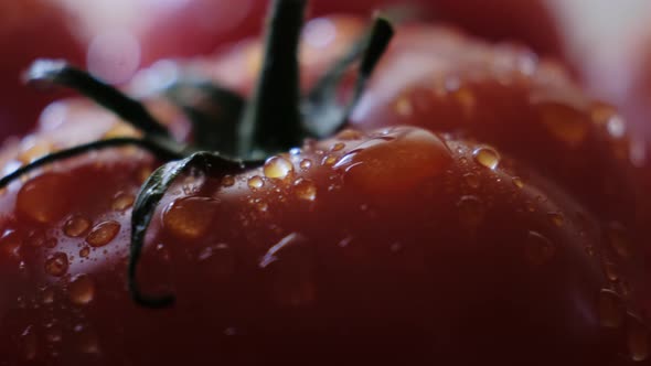 Beautiful Red Tomatoes Water Drops Macro Video