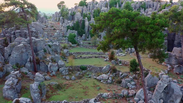 Landscape Scenery with Gray Rock Formations and Evergreen Trees