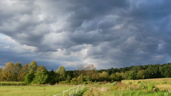 Clouds and Trees on a Field