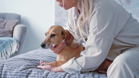 Young Beautiful Caucasian Blonde Woman in Home Clothes on the Bed with Her Cute Little Brown