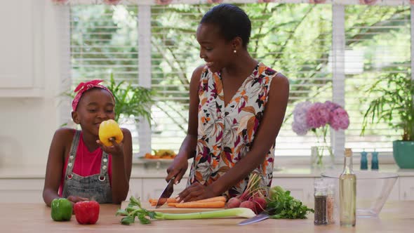 African american mother and daughter chopping vegetables in the kitchen at home