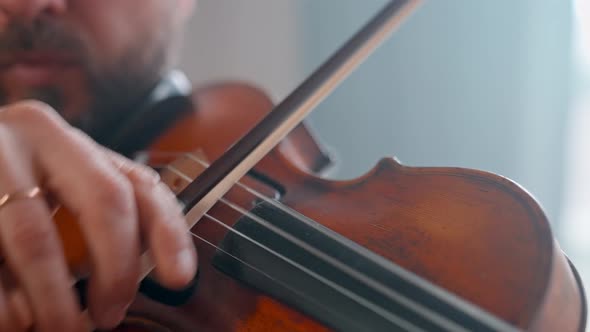 Brown Beautiful Violin