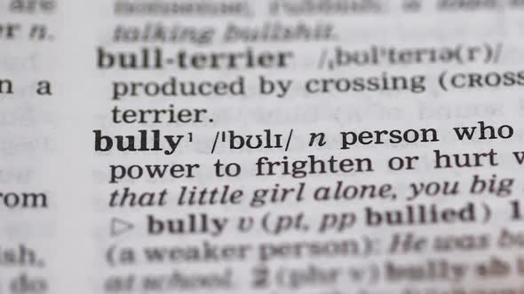 Bully, Word Pointed in English Vocabulary, Aggressive Person Humiliating Others