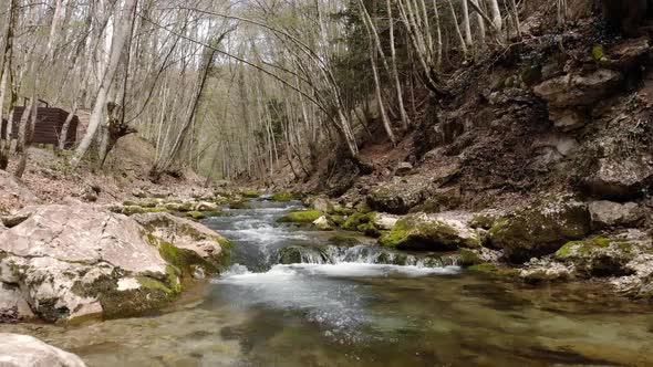 The Camera Flies Over a Small Mountain River