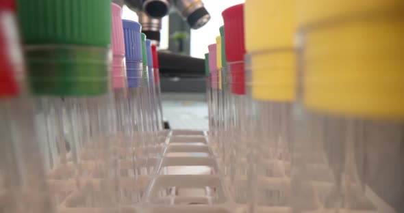 Scientist Examines Multicolored Liquids in Test Tubes