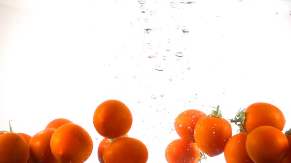 Fresh Tomato in Water