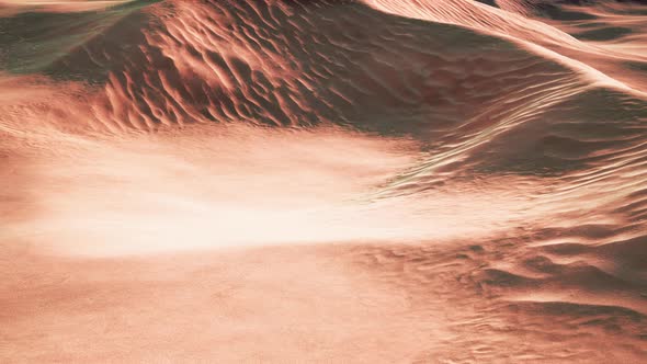 Wide and Wild Landscape of the Arabic Sand Desert