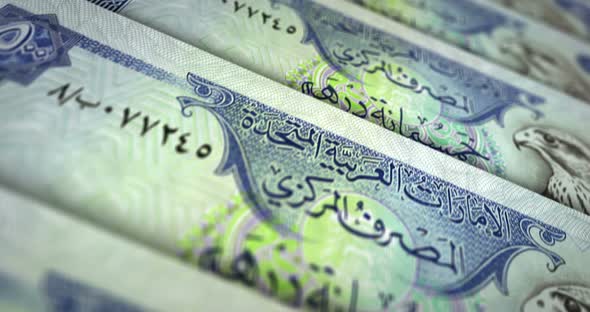 Arab Emirates Dirhams money banknote surface loop