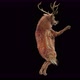 45 Deer Dancing 4K - VideoHive Item for Sale