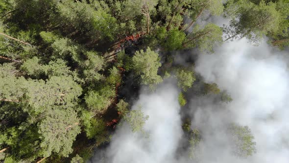 Aerial View From the Top of the Forest That Is Burning.