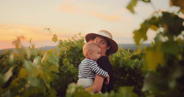 Young Mom Enjoying Time with Her Cute Little Child in French Provence Vineyard During Summer