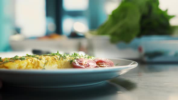 Professional restaurant kitchen, close-up: The chef serves an omelette
